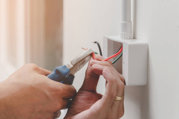 Best Electrical Panel Upgrades  in Clinton, MD